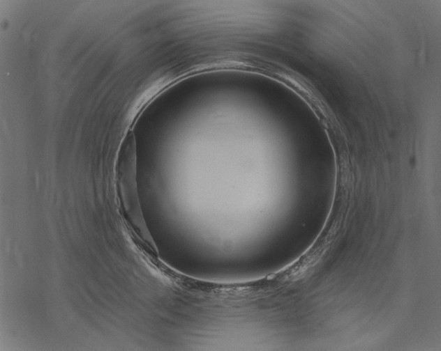 X0000077320858200611031704