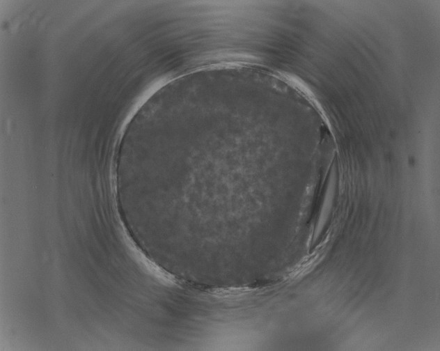 X0000077320859200611031704