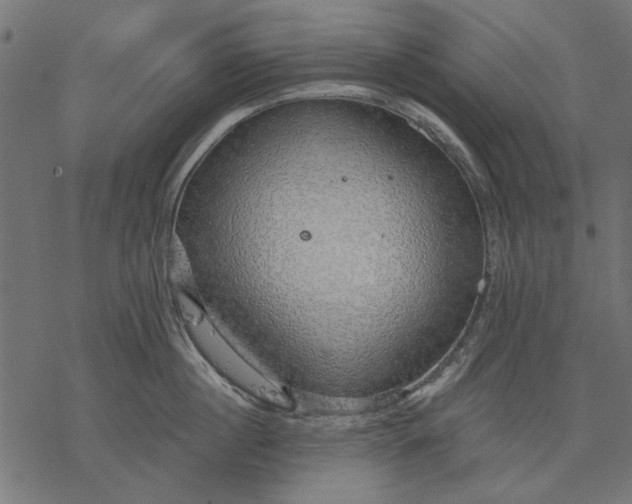 X0000077320860200611031704