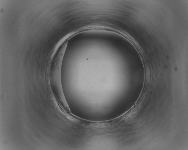 X0000077320862200611031704