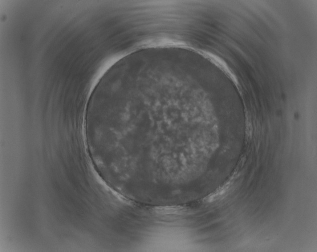 X0000077320863200611031704