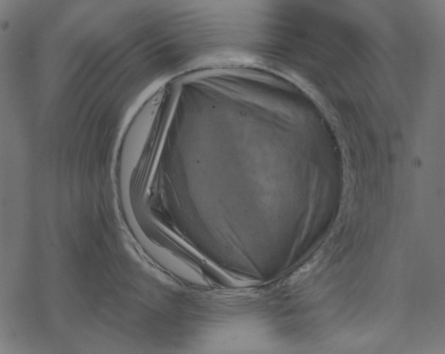 X0000077320864200611031704