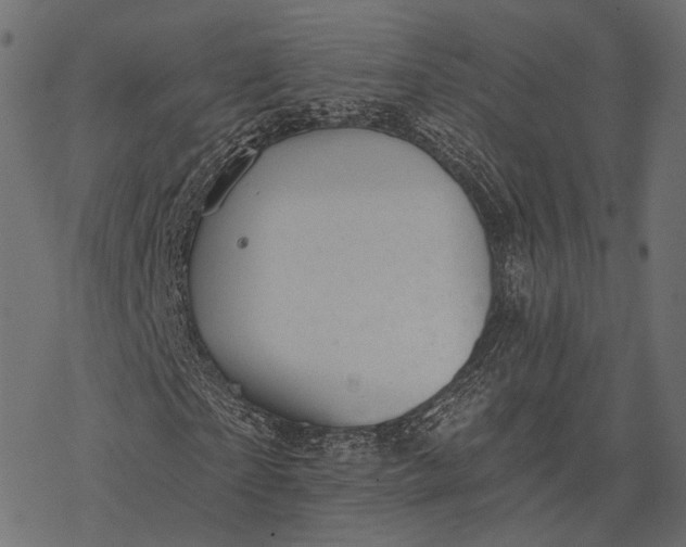 X0000077320865200611031703