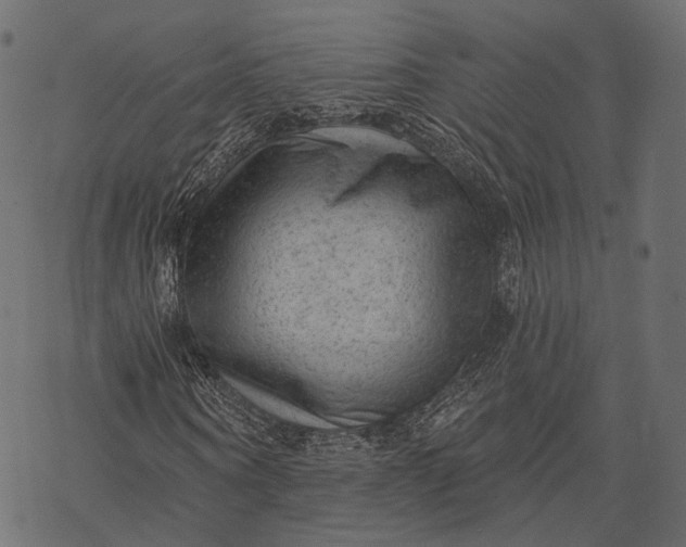 X0000077320866200611031703