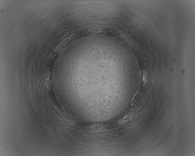 X0000077320867200611031703