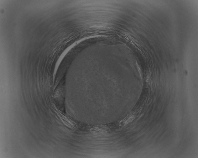 X0000077320868200611031703