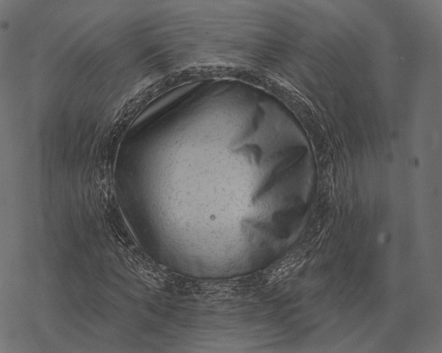 X0000077320870200611031703