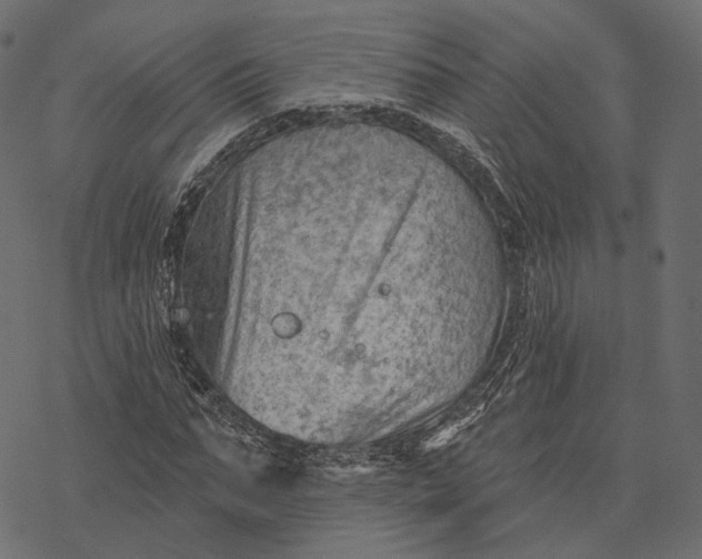 X0000077320871200611031703