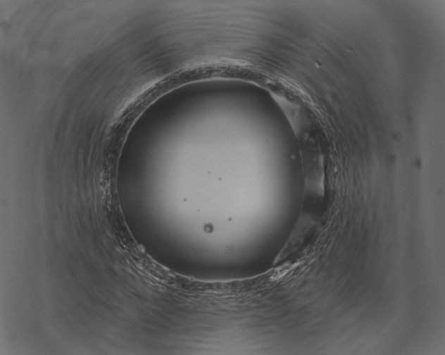 X0000077320872200611031703