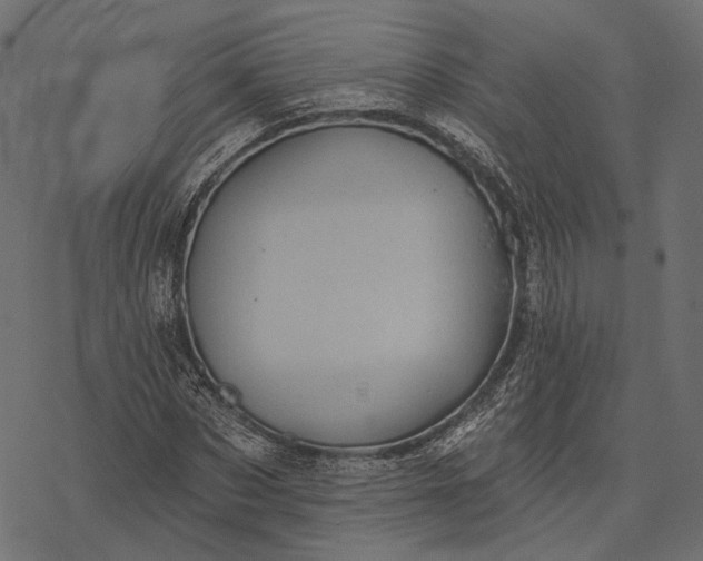 X0000077320873200611031703