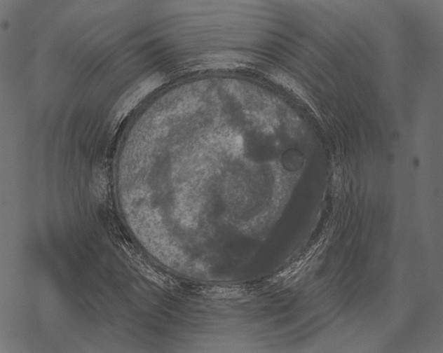 X0000077320874200611031703