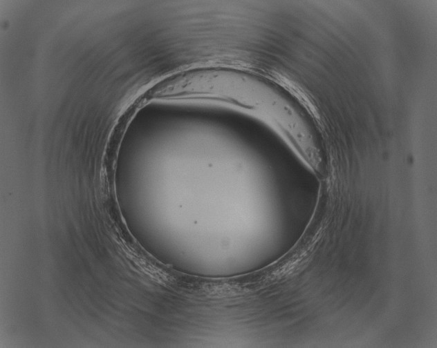 X0000077320876200611031703