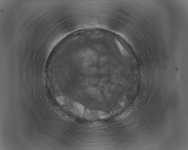 X0000077320879200611031703