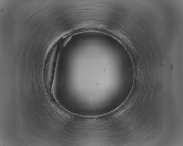 X0000077320880200611031703