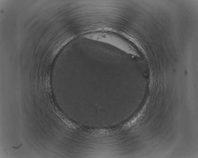 X0000077320881200611031703