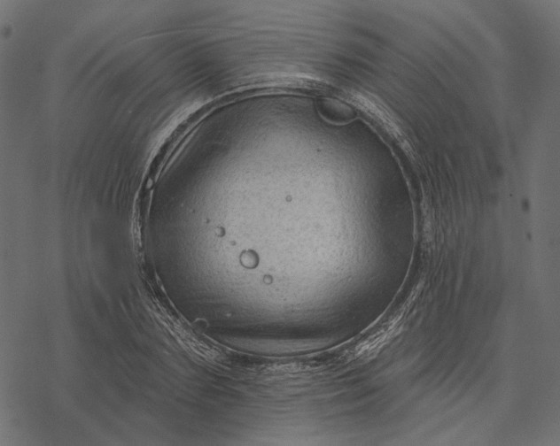 X0000077320883200611031703