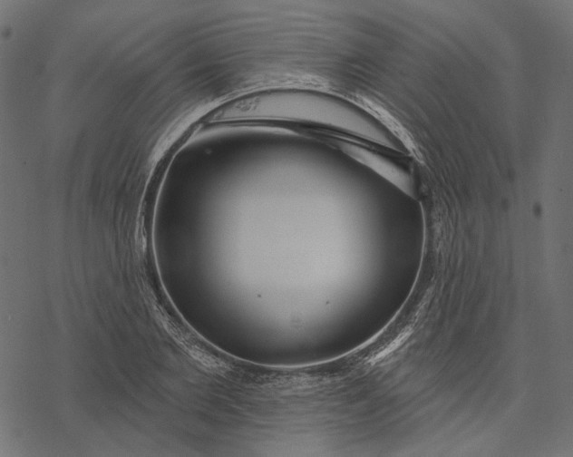 X0000077320885200611031703