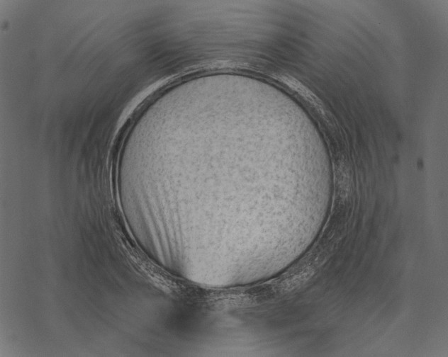 X0000077320886200611031703