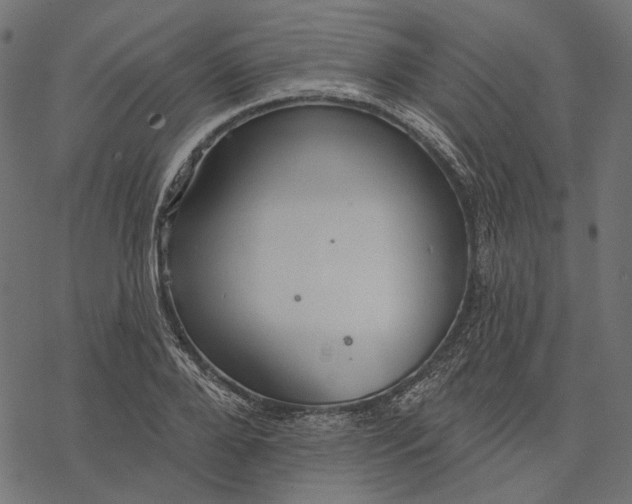 X0000077320888200611031702