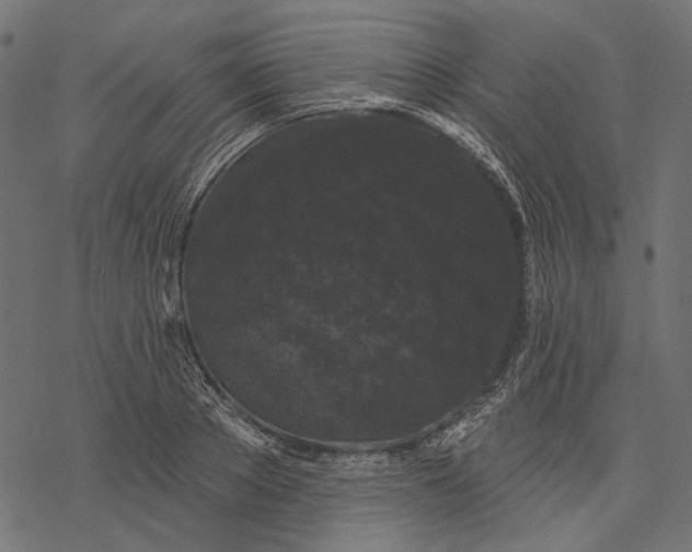 X0000077320889200611031702