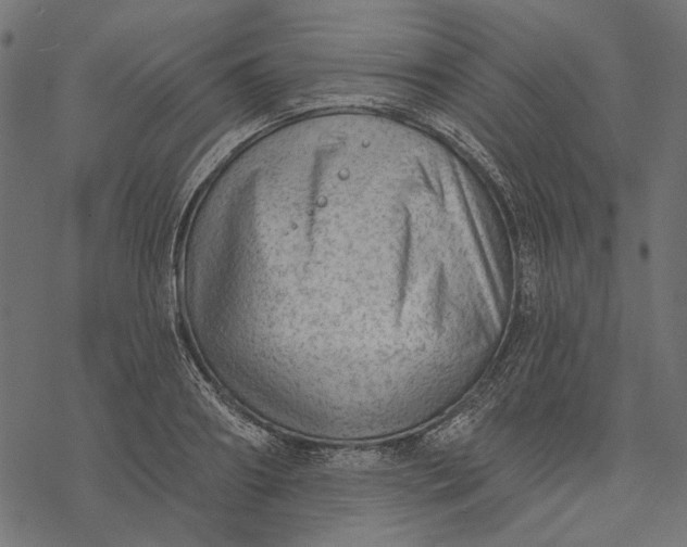 X0000077320890200611031702