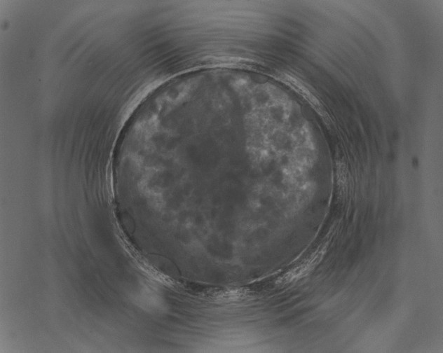 X0000077320891200611031702