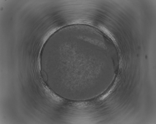 X0000077320892200611031702