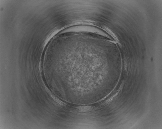 X0000077320893200611031702