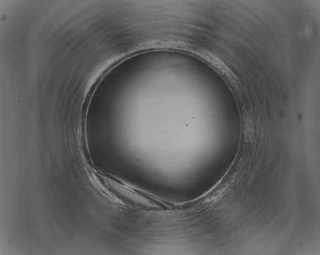 X0000077320896200611031702