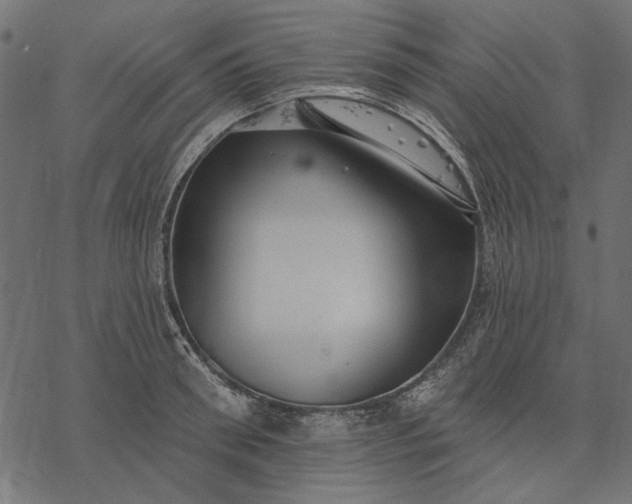 X0000077320898200611031702