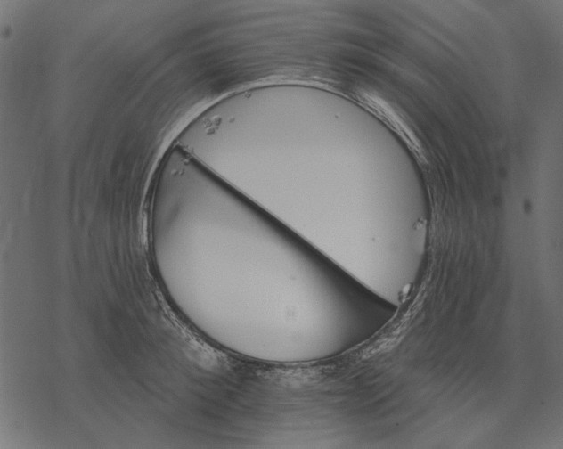 X0000077320900200611031702