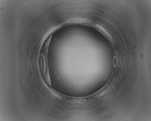 X0000077320901200611031702