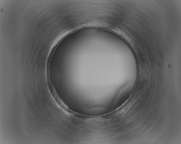 X0000077320902200611031702