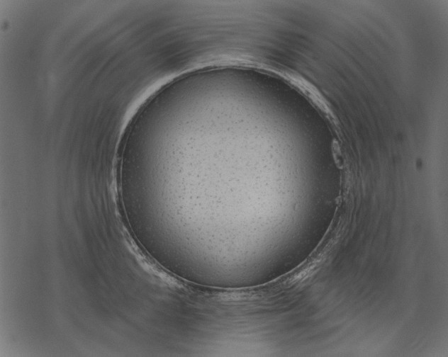 X0000077320904200611031702