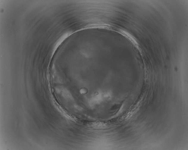 X0000077320907200611031702