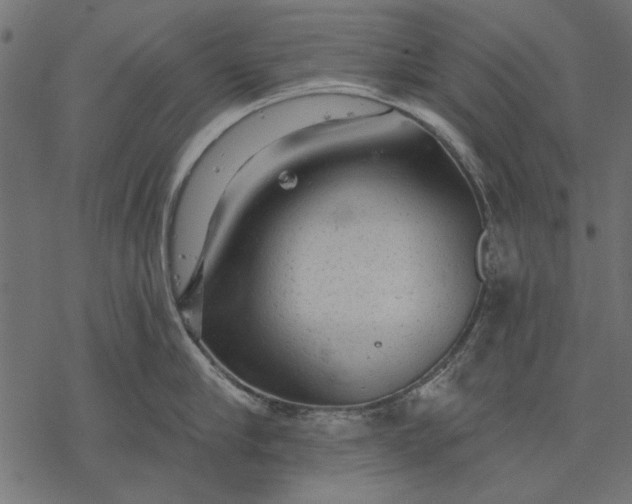 X0000077320910200611031702