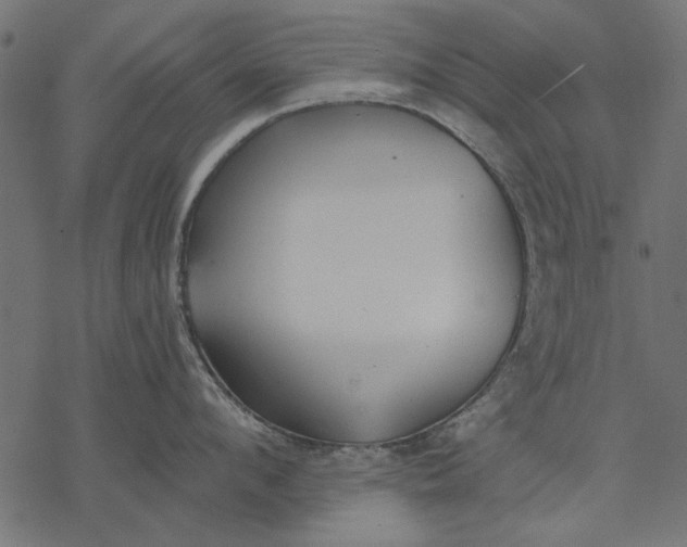 X0000077320912200611031702