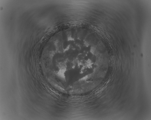 X0000077320913200611031701