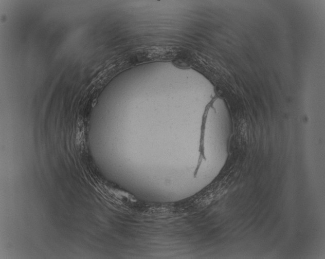 X0000077320914200611031701