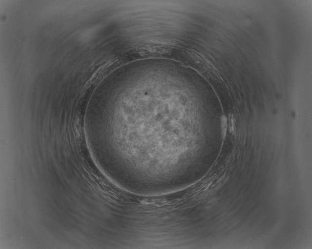 X0000077320915200611031701