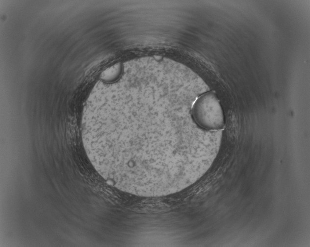 X0000077320918200611031701