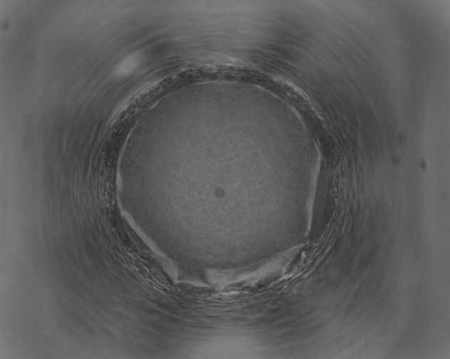 X0000077320919200611031701