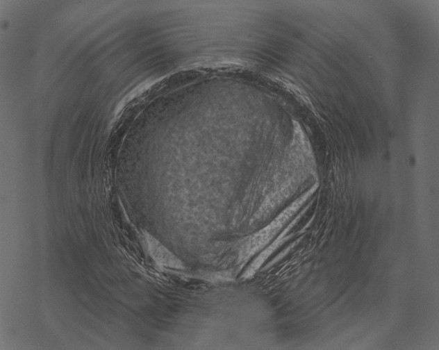 X0000077320920200611031701