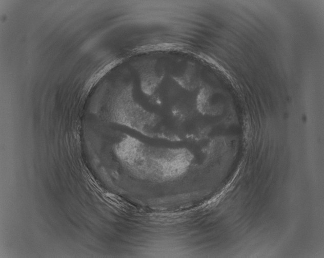 X0000077320921200611031701