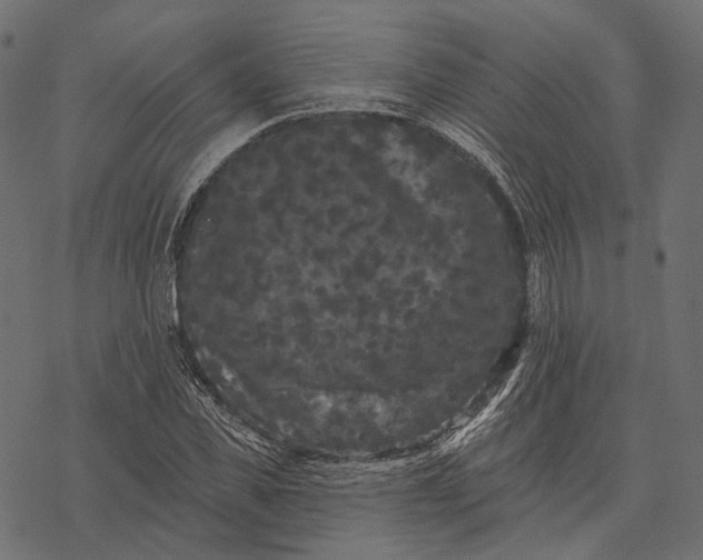 X0000077320925200611031701