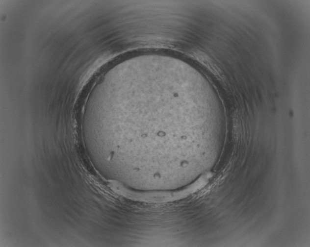 X0000077320926200611031702