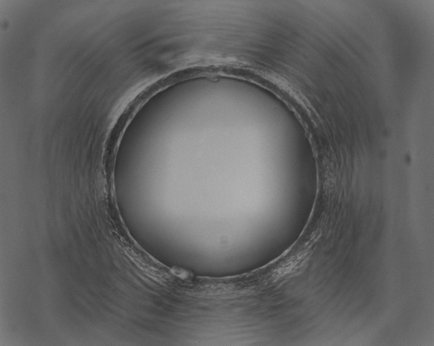 X0000077320927200611031702