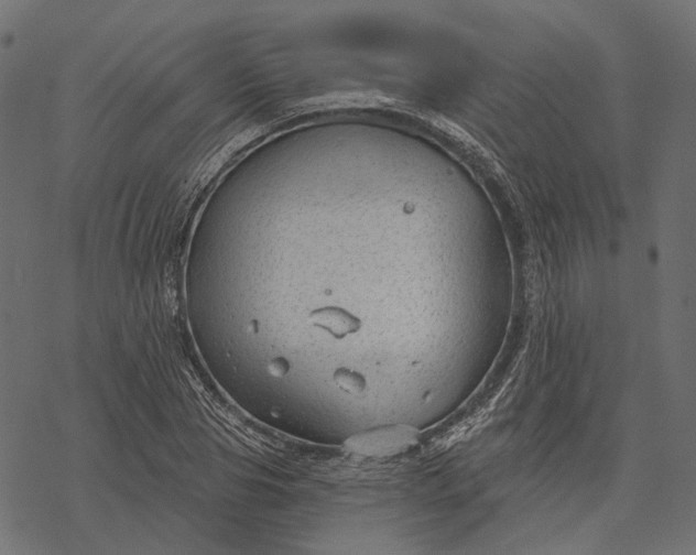 X0000077320929200611031702