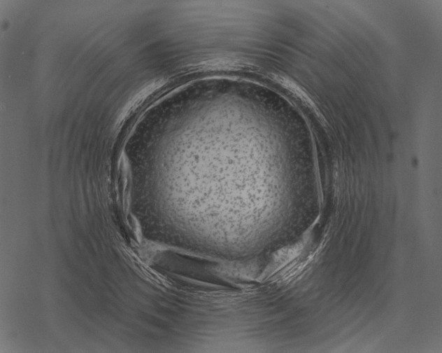 X0000077320930200611031702