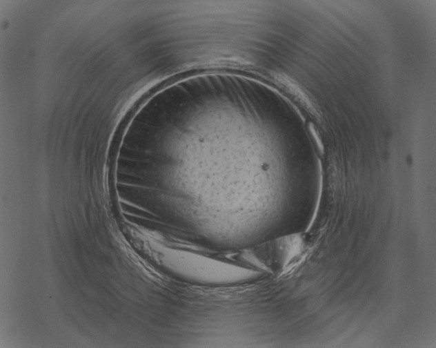 X0000077320932200611031702